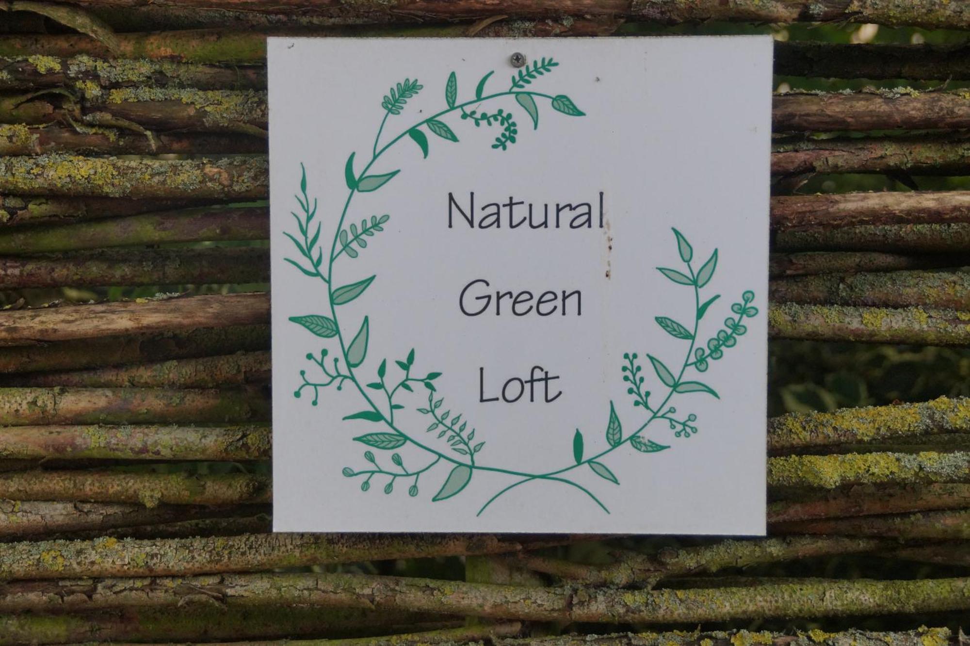 Natural Green Loft Bergen Exterior photo